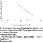 Figure 1: Electrophoretic mobilities of standard proteinsandT.procumbans calyx protein(TPCP). Acrylamide concentration. 7.5%, standard proteins (a) carbonic anhydrase, (b) - Trypsin and T.procumbans calyx protein (TPCP). (c) Myoglobin, (d) Cytochrome C (from top to bottom)