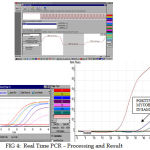 Figure 4: Real Time PCR – Processing and Result