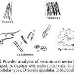 Figure:2 Powder analysis of vernonia cinerea Less. A- T shaped, B- Capitate with multicellular stalk, C- Different unicellular types, D-Sessile glandular, E-Multicellular