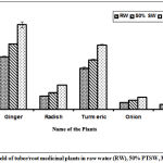 Figure 1: Yield of tuber/root medicinal plants in raw water (RW), 50% PTSW, 33% PTSW