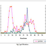 Figure 2: Gel filtration chromatographic separation using Sephadex G-75 gel matrix for fractions obtained from IE chromatograph.