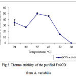 Figure 5. Thermo-stability of the purified FeSOD from A. variabilis.