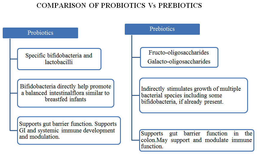 Probiotics, Prebiotics and Synbiotics – A Review | Biomedical and  Pharmacology Journal