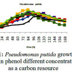 Figure 1: Pseudomonas putida growth curve in phenol different concentrations as a carbon resource