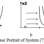 Figure 7: Phase Portrait of System (7).