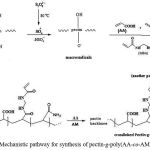 Scheme 1: Mechanistic pathway for synthesis of pectin-g-poly(AA-co-AM) hydrogel.