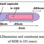 Figure 1: Dimensions and constituent materials of HDR Ir-192 source
