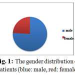 Figure 1: The gender distribution of patients (blue: male, red: female)