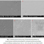 Figure 2: Scanning electron microscopy of untreated polyurethane (a) oxygen-plasma modified polyurethane(b) acrylamide grafted polyurethane surface at different radiation times 60s (c) ; 120 s (d) and 180 s (e). MAG:3000X .