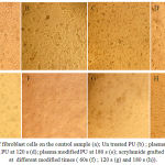 Figure 4: The culture of fibroblast cells on the control sample (a); Un treated PU (b) ; plasma modified PU at 60 s (c); plasma modified PU at 120 s (d); plasma modified PU at 180 s (e); acrylamide grafted polyurethane surface at different modified times ( 60s (f) ; 120 s (g) and 180 s (h)).