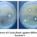 Figure 2: Methanol and aqueous extract of Cassia fistula against different gram-positive and gram-negative bacteria’s.