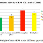 Figure 1: Weight of crude EPS at the different growth phases