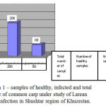 Figure 1: samples of healthy, infected and total number of common carp under study of Larean parasitic infection in Shushtar region of Khuzestan.