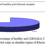 Figure 2: percentage of healthy and Lernaea Cyprinacea infected carps in shushtar region of Khuzestan