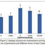 Figure 2: changes of pyruvate transaminase activity with use of gentamicin and different doses of and Cinnamon.