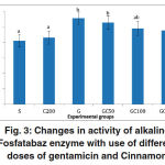 Figure 3: Changes in activity of alkaline Fosfatabaz enzyme with use of different doses of gentamicin and Cinnamon.
