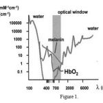 Figure 1: Absorption spectra of major intracellular absorbers in the wavelength range from 100nm to 6000nm [32].