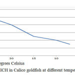 Figure 6: Incidence of ICH in Calico goldfish at different temperatures