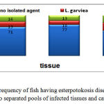 Figure 2: Frequency of fish having esterpotokosis disease with the sum of two separated pools of infected tissues and cause disease