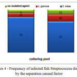 Figure 4: Frequency of infected fish Streptococcus disease by the separation caused factor