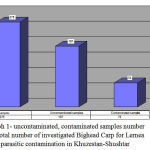 Figure 2: uncontaminated, contaminated samples number and total number of investigated Bighead Carp for Lernea parasitic contamination in Khuzestan-Shushtar