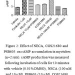 Figure 2: Effect of NECA, CGS21680 and PSB603 on cAMP accumulation in myotubes(n=2 rats). cAMP production was measured following incubation of cells for 10 minutes with vehicle (0.01% DMSO), NECA (100 nM and 10 µM), PSB603 (10 µM), CGS21680 (100 nM) and forskolin. (***) p < 0.001 versus vehicle or NECA+PSB603. Data were analyzed using one way ANOVA test followed by Bonferroni post-hoc.