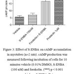 Figure 3: Effect of S-ENBA on cAMP accumulation in myotubes(n=2 rats). cAMP production was measured following incubation of cells for 10 minutes vehicle (0.01% DMSO), S-ENBA (100 nM) and forskolin. (***) p < 0.001 versus vehicle or S-ENBA. Data were analyzed using one way ANOVA test followed by Bonferroni post-hoc.