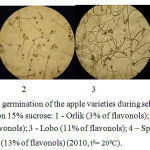 Figure 1: Pollen germination of the apple varieties during self-pollination, after 4 hours on 15% sucrose: 1 - Orlik (3% of flavonols); 2 - Melba (9% of flavonols); 3 - Lobo (11% of flavonols); 4 - Spartan (13% of flavonols) (2010, t0= 200C).