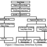 Figure 1: Glaucoma Detection System