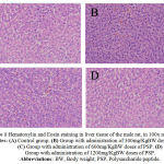Figure 1: Hematoxylin and Eosin staining in liver tissue of the male rat, in 100x magnification. Notes: (A) Control group. (B) Group with administration of 300mg/KgBW doses of PSP. (C) Group with administration of 600mg/KgBW doses of PSP. (D) Group with administration of 1200mg/KgBW doses of PSP. Abbreviations:BW, Body weight; PSP, Polysaccharide peptide.