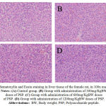 Figure 2: Hematoxylin and Eosin staining in liver tissue of the female rat, in 100x magnification. Notes: (A) Control group. (B) Group with administration of 300mg/KgBW doses of PSP. (C) Group with administration of 600mg/KgBW doses of PSP. (D) Group with administration of 1200mg/KgBW doses of PSP. Abbreviations:BW, Body weight; PSP, Polysaccharide peptide.