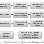 Fig 1. Schematic diagram for different scaffolding approaches