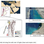 Fig. 1. Study site along the south coast of Aqaba (donor and receptor sites).