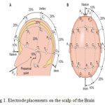 Fig 1. Electrode placements on the scalp of the Brain