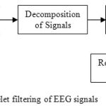 Fig 2. Wavelet filtering of EEG signals