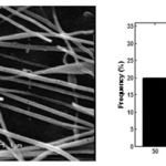 Fig.3 SEM image and diameter distribution of the synthesized HApnanofibers.