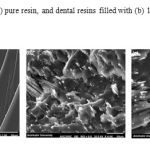 Fig. 6 SEM images of (a) pure resin, and dental resins filled with (b) 10 and (c) 20 wt. % of HApnanofibers.