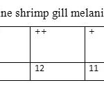 Table (1).The amount of marine shrimp gill melanization in the city of Bushehr