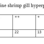 Table (2). The amount of marine shrimp gill hyperplasia in the city of Bushehr.