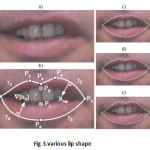 Fig 3.various lip shape (a) asymmetric mouth shape (b) composed of 4 cubes (c&d) parametric using parabola (e) using quartics