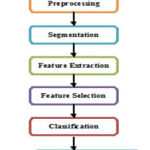 Fig. 3. Proposed Methodology