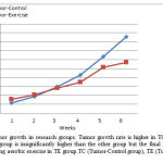 Figure1. Rate of tumor growth in research groups. Tumor growth rate is higher in TC group, initial tumor volume in TE group is insignificantly higher than the other group but the final growth rate has been reduced following aerobic exercise in TE group.TC (Tumor-Control group), TE (Tumor-Exercise group).