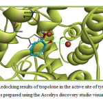 Fig. 1: Redocking results of tropolone in the active site of tyrosinase. This figure was prepared using the Accelrys discovery studio visualizer program.