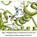 Fig. 2. Binding model of compound 12 for the best docked pose in the tyrosinase active site