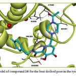 Fig. 3. Binding model of compound 16 for the best docked pose in the tyrosinase active site