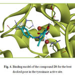 Fig. 4. Binding model of the compound 20 for the best docked pose in the tyrosinase active site.