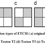 Figure 1 Special texton types of ETCM ( a) original 2x2 matrix (b)Texton T1 (c) Texton T2 (d) Texton T3 (e) Texton T4