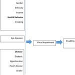 Figure 1. Research Frameworks for Visual Impairment and Disability