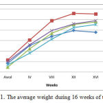 Figure 1. The average weight during 16 weeks of treatment