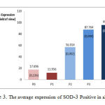 Figure 3. The average expression of SOD-3 Positive in all group